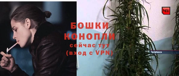 винт Белокуриха