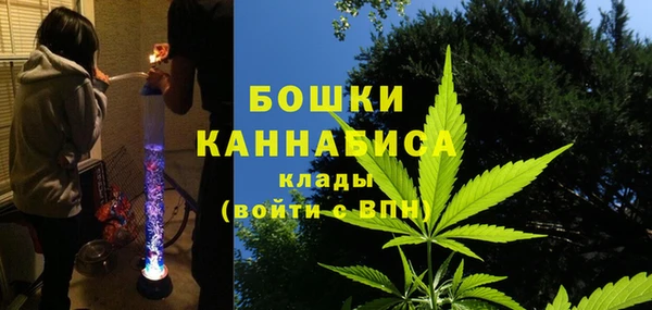 винт Белокуриха