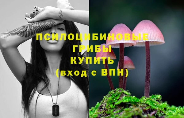 СК Беломорск