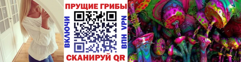 Галлюциногенные грибы Psilocybe  Верхний Уфалей 